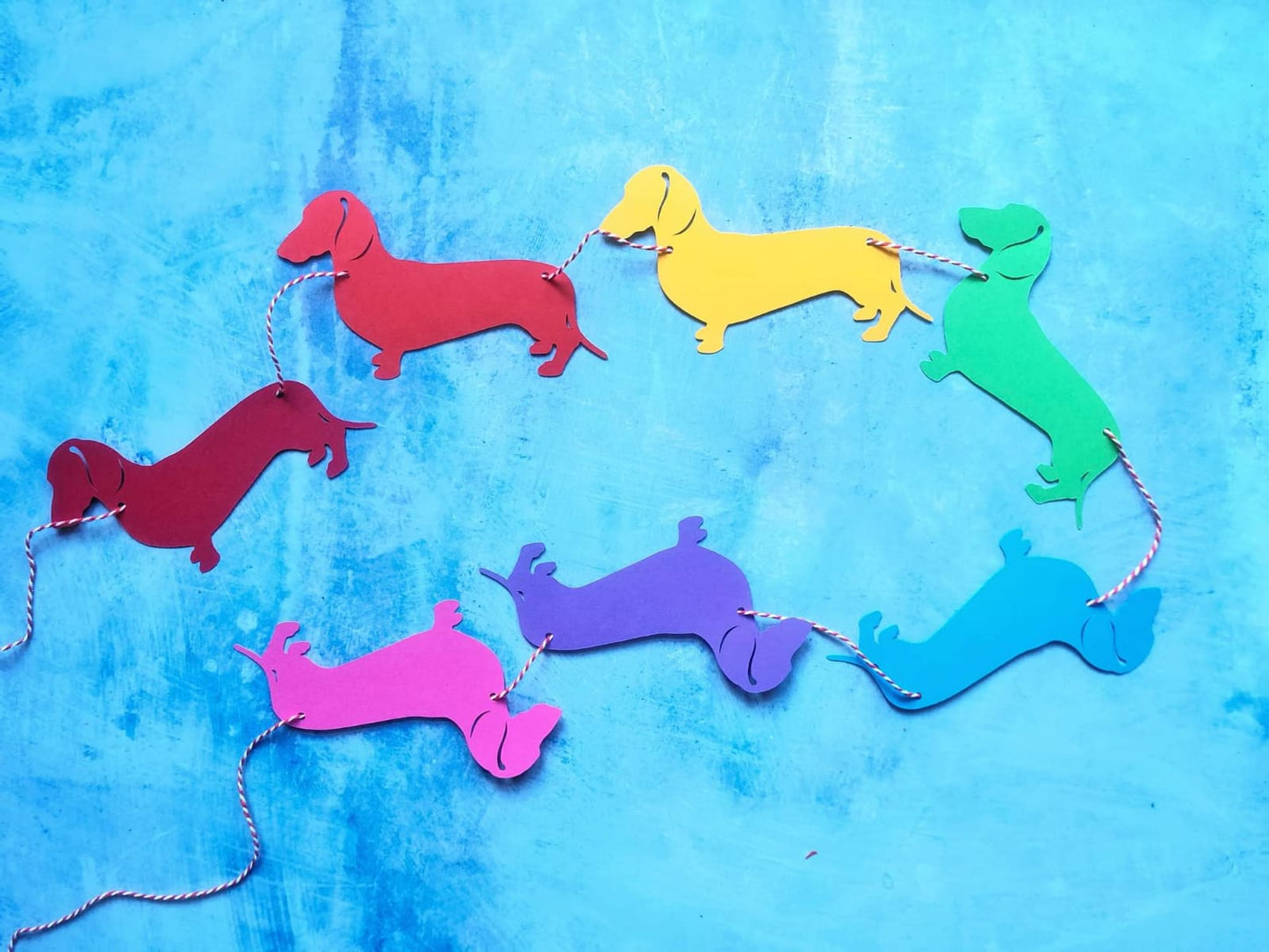 Rainbow Dachshund Bunting - Choose which Coat image 2