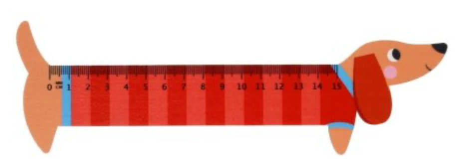 Sausage Dog Wooden Ruler image 2