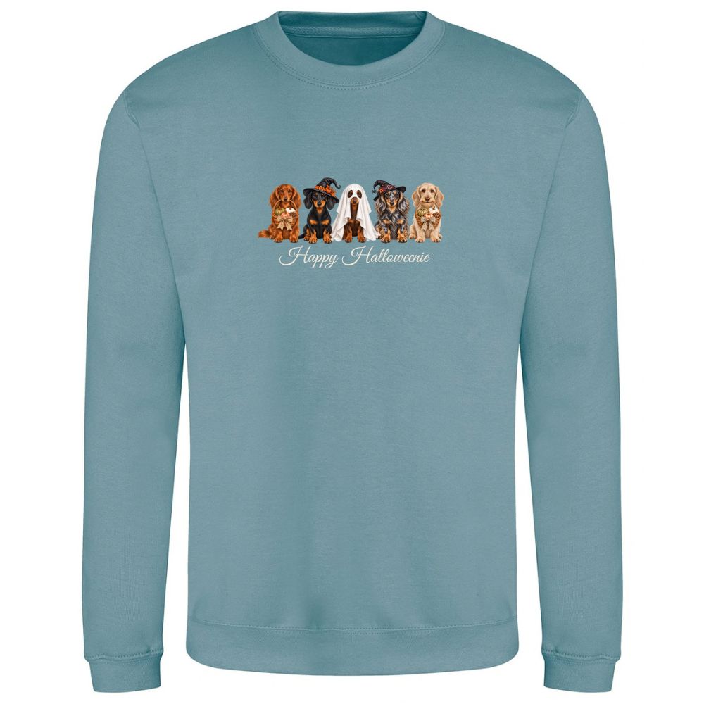 π Seafoam Dachshund Halloween Sweatshirt β 4 Designs | XSβ2XL πΎ