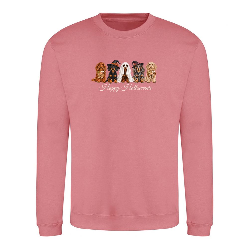 π Dusty Rose Dachshund Halloween Sweatshirt β 4 Designs | XSβ2XL πΎ