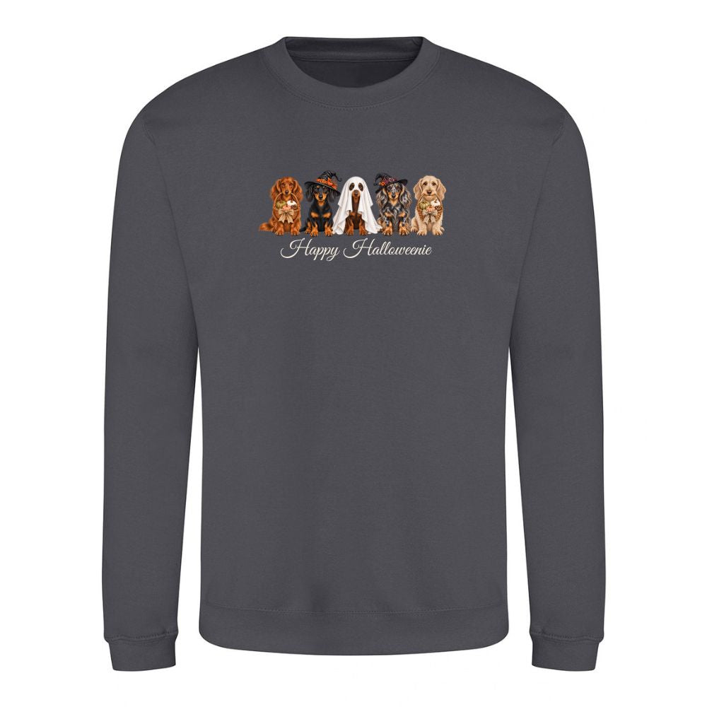 π Shark Grey Dachshund Halloween Sweatshirt β 4 Designs | XSβ2XL πΎ