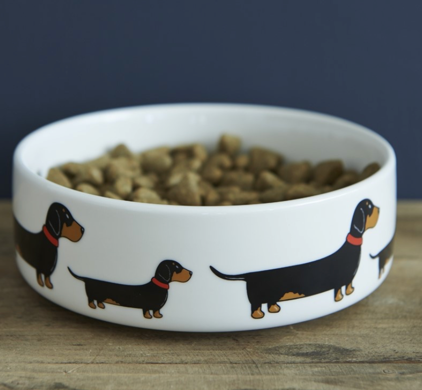 Sweet William Dachshund Dog Bowl image 0