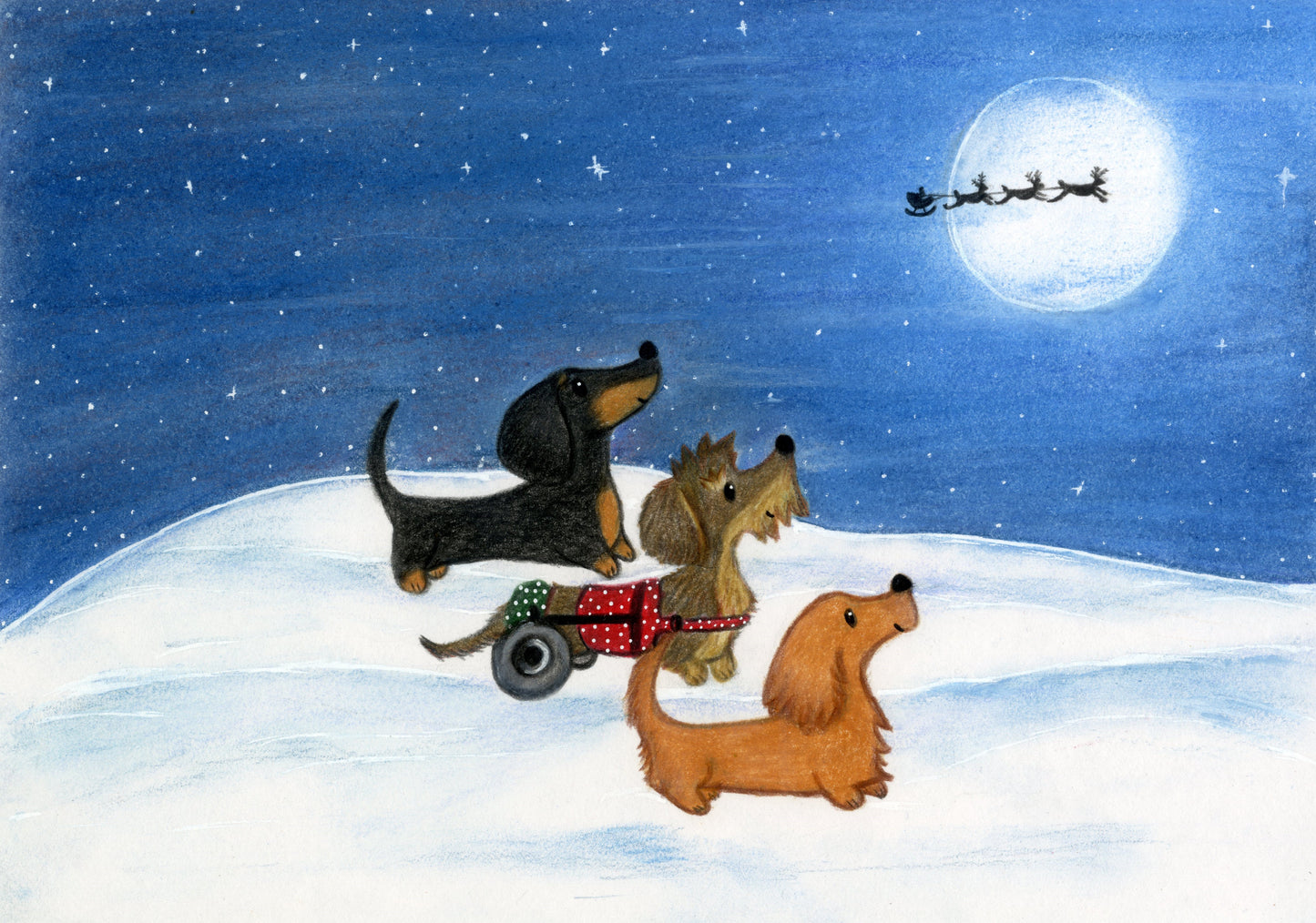 The Red Foundation Christmas Cards Designed by Emma Riches - Pack of 10