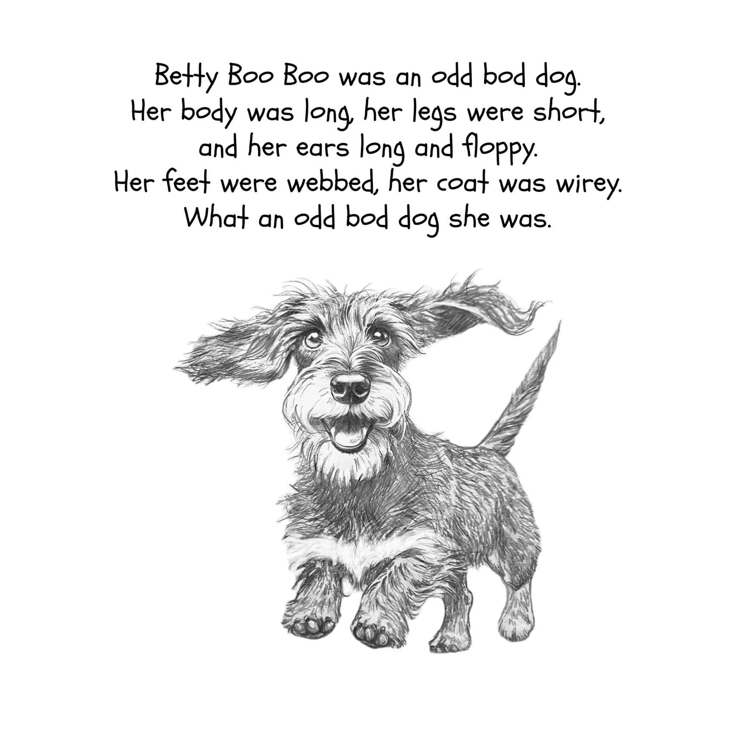 Betty Boo Boo The Odd Bod Dog Book By Susan Eldred, Illustrated by Julie Shaw