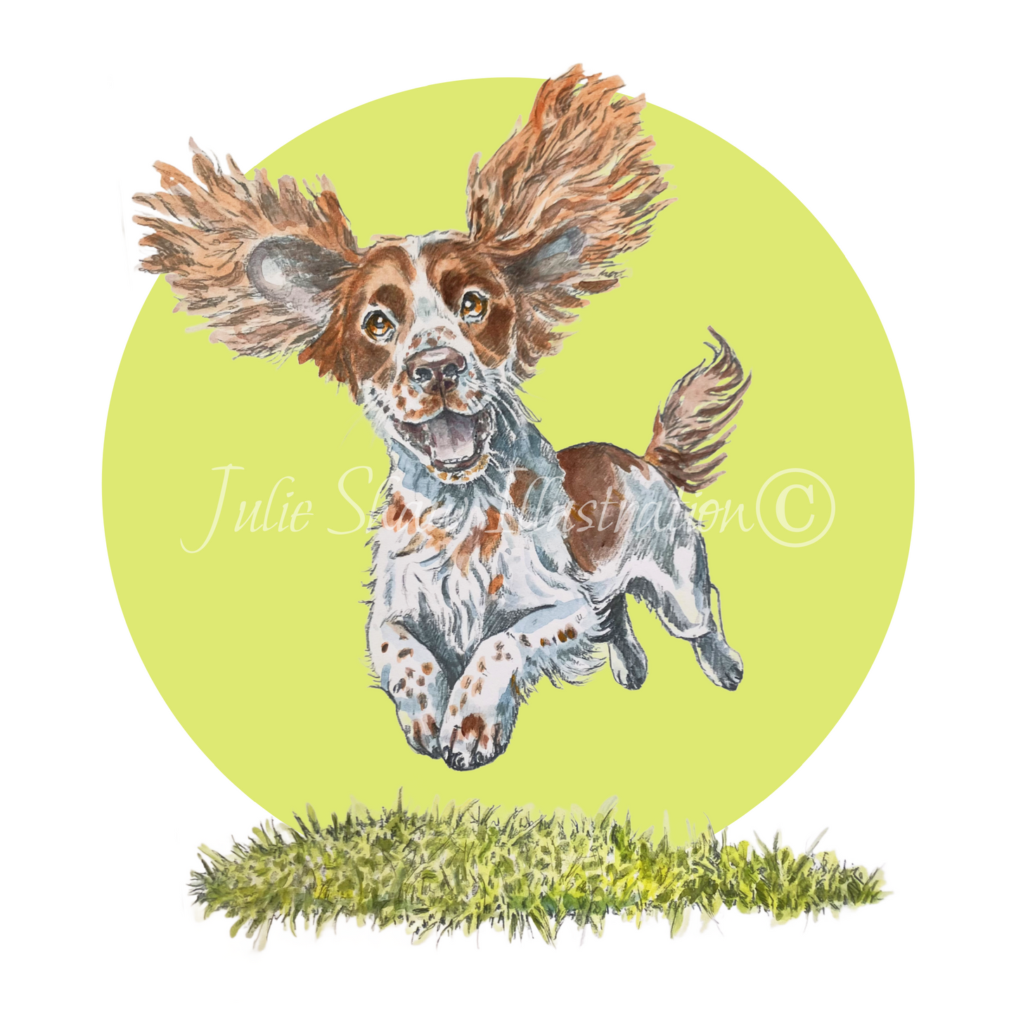 Betty Boo Boo The Odd Bod Dog Book By Susan Eldred, Illustrated by Julie Shaw