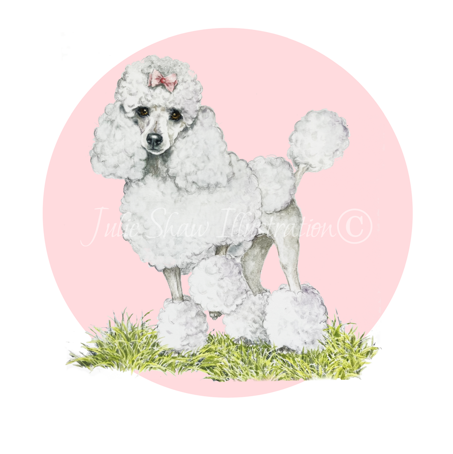 Betty Boo Boo The Odd Bod Dog Book By Susan Eldred, Illustrated by Julie Shaw