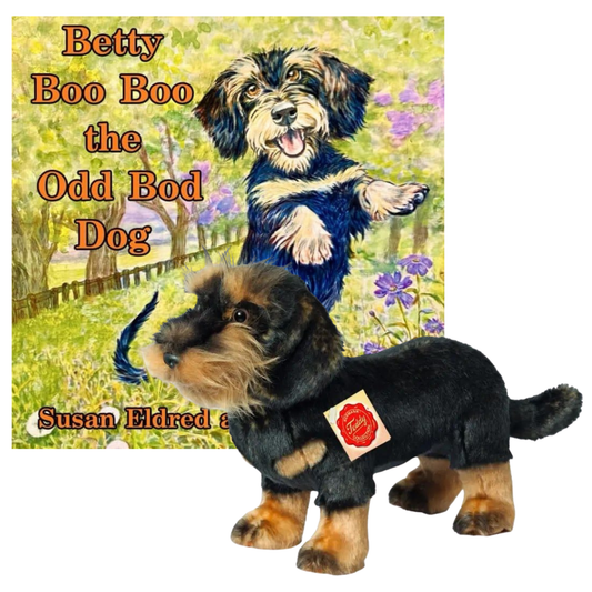 Betty Boo Boo The Odd Bod Dog Book & Standing Wire Haired Dachshund Toy Bundle