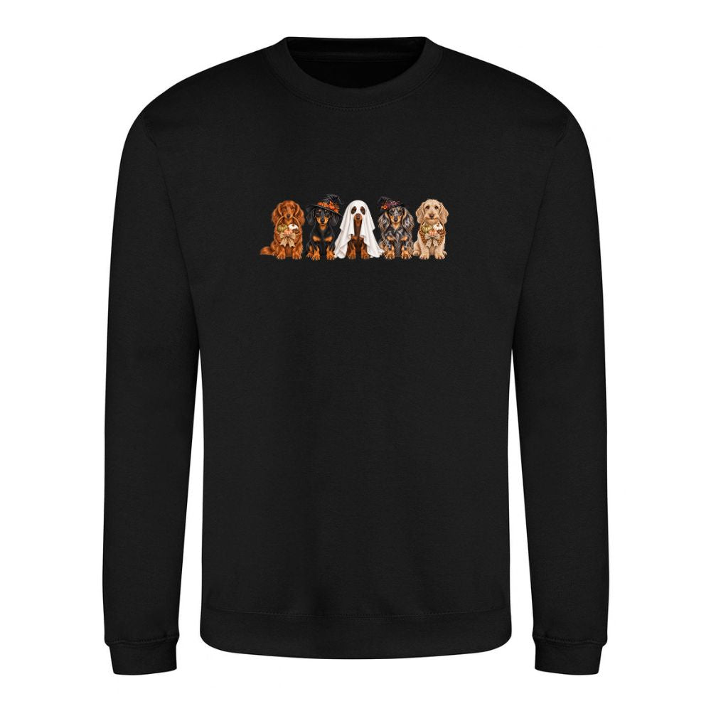 🎃 Black Dachshund Halloween Sweatshirt – 4 Designs | XS–5XL 🐾