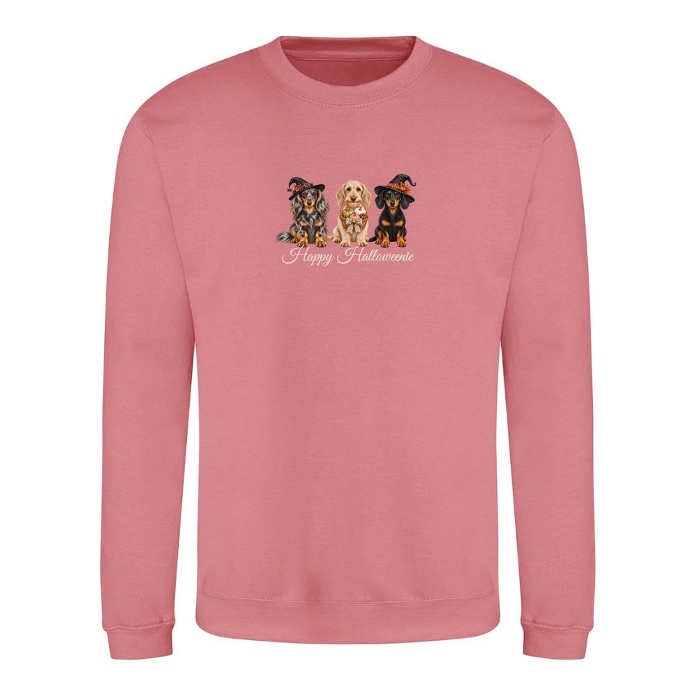 🎃 Dusty Rose Dachshund Halloween Sweatshirt – 4 Designs | XS–2XL 🐾