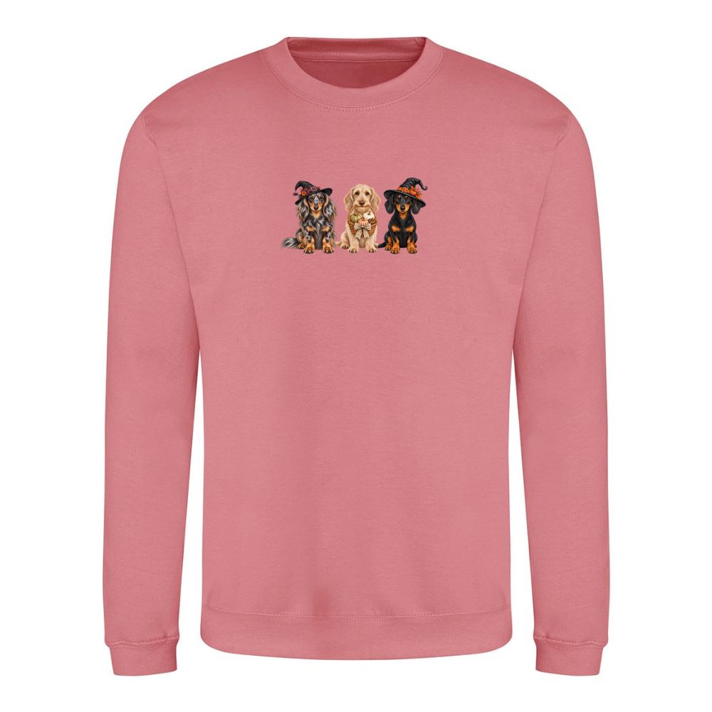 🎃 Dusty Rose Dachshund Halloween Sweatshirt – 4 Designs | XS–2XL 🐾