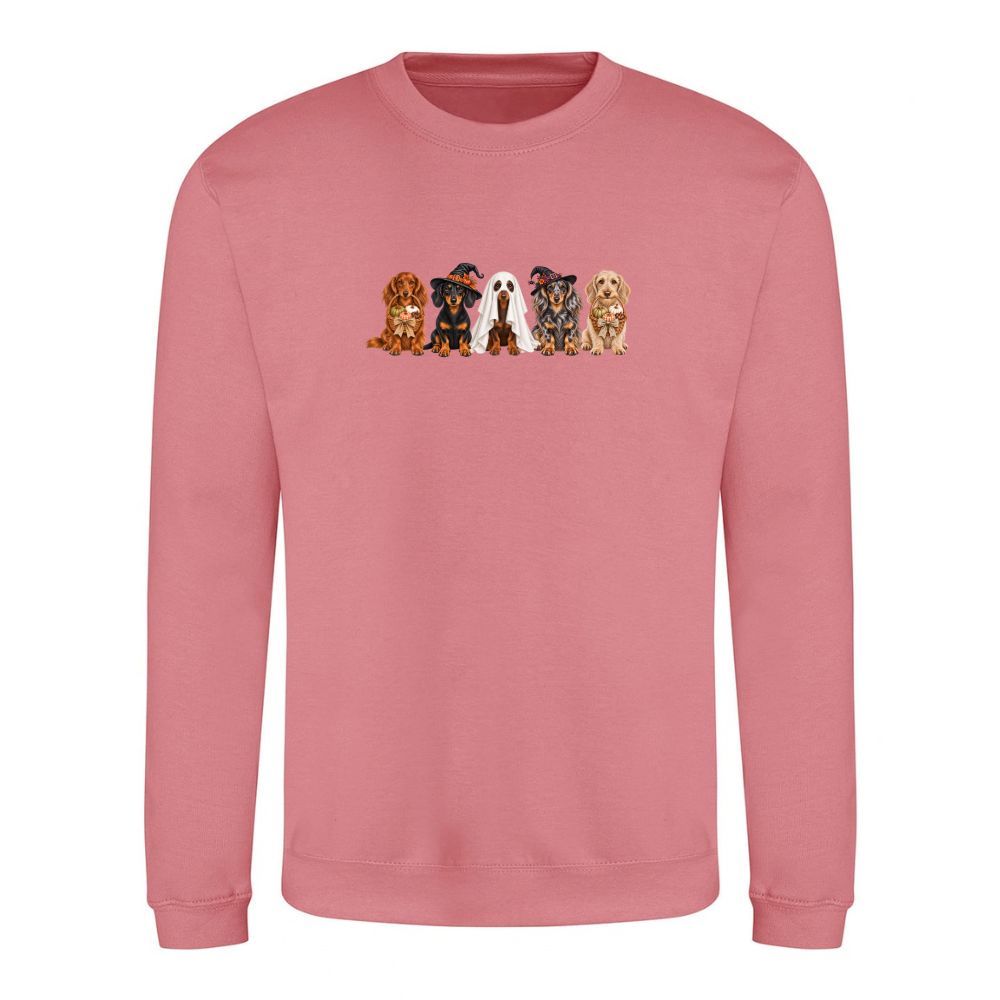 🎃 Dusty Rose Dachshund Halloween Sweatshirt – 4 Designs | XS–2XL 🐾