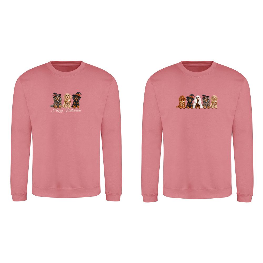 🎃 Dusty Rose Dachshund Halloween Sweatshirt – 4 Designs | XS–2XL 🐾