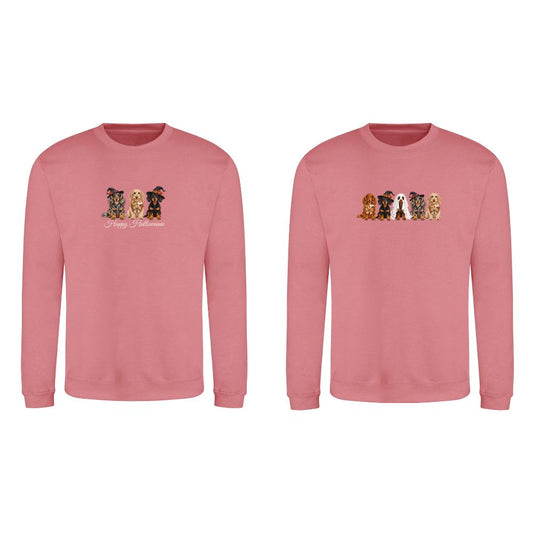 🎃 Dusty Rose Dachshund Halloween Sweatshirt – 4 Designs | XS–2XL 🐾
