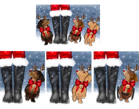 Mixed Pack of The Red Foundation Christmas Cards - Holly Senior Designs 20 Pack image 0