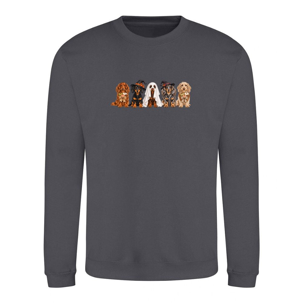 🎃 Shark Grey Dachshund Halloween Sweatshirt – 4 Designs | XS–2XL 🐾