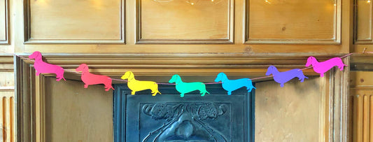 Rainbow Dachshund Bunting - Choose which Coat image 0