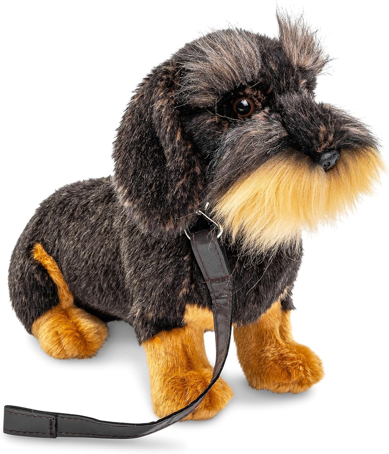 Betty Boo Boo The Odd Bod Dog Book & Sitting Wire Haired Dachshund Toy