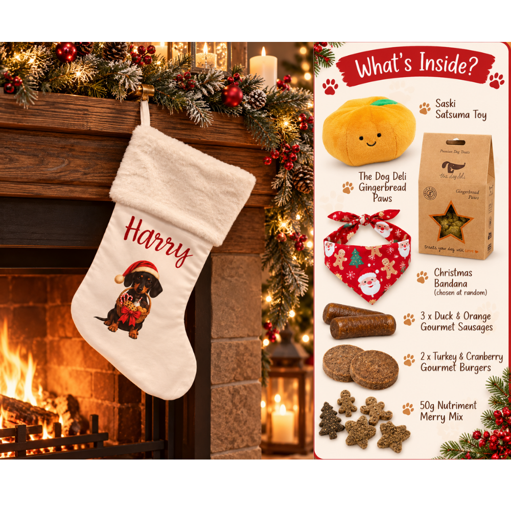 2026 Pre Filled Personalised Sausage Dog Christmas Stocking - Choice of Coats & Colours