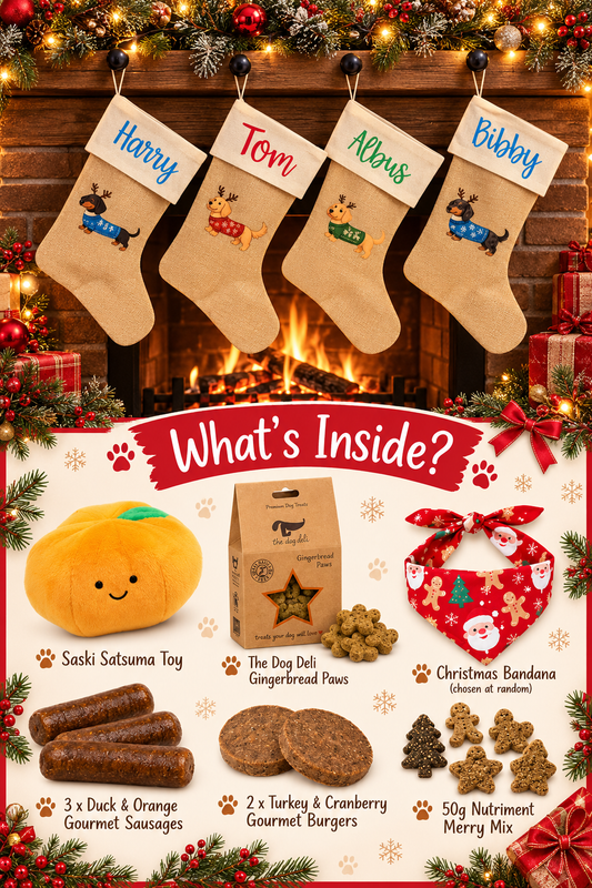 Pre Filled Personalised Sausage Dog Christmas Stocking - Choose from 21 Designs