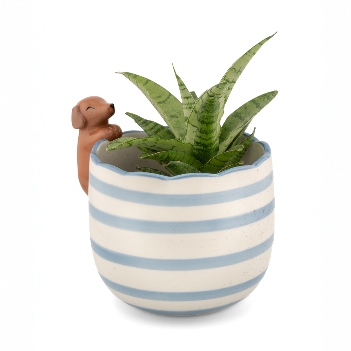 Peeking Sausage Dog Planter | Porcelain Dachshund Plant Pot