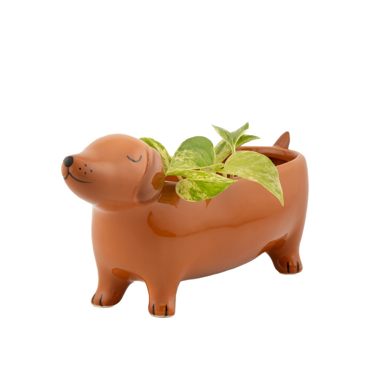 Sausage Dog Planter | Dolomite Dachshund Plant Pot