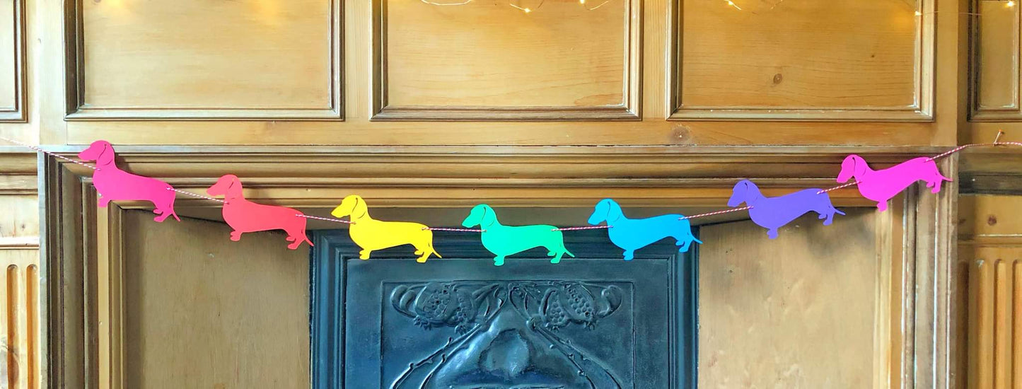 Rainbow Dachshund Bunting - Choose which Coat image 4