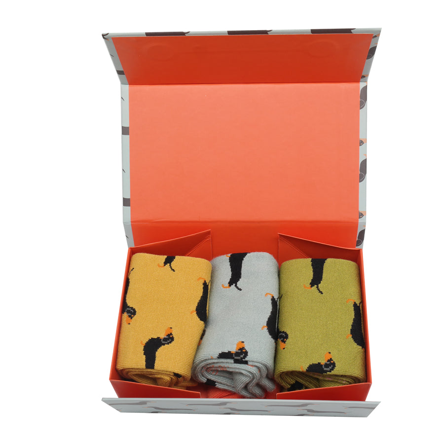Ladies Bamboo Little Sausage Dogs Socks Box image 1