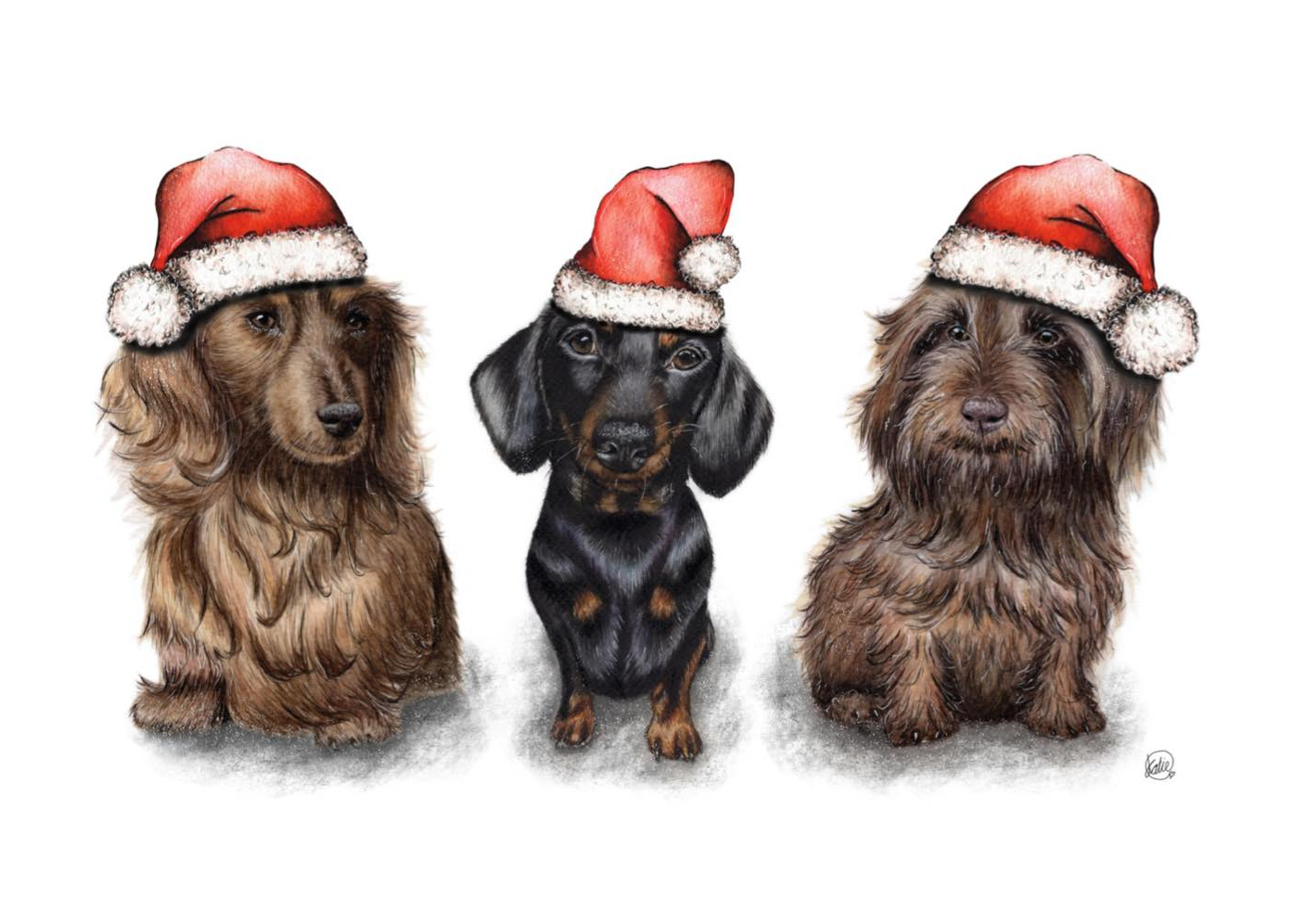 2022 Design The Red Foundation Christmas Cards By Katie Catlin  - Pack of 10 image 0