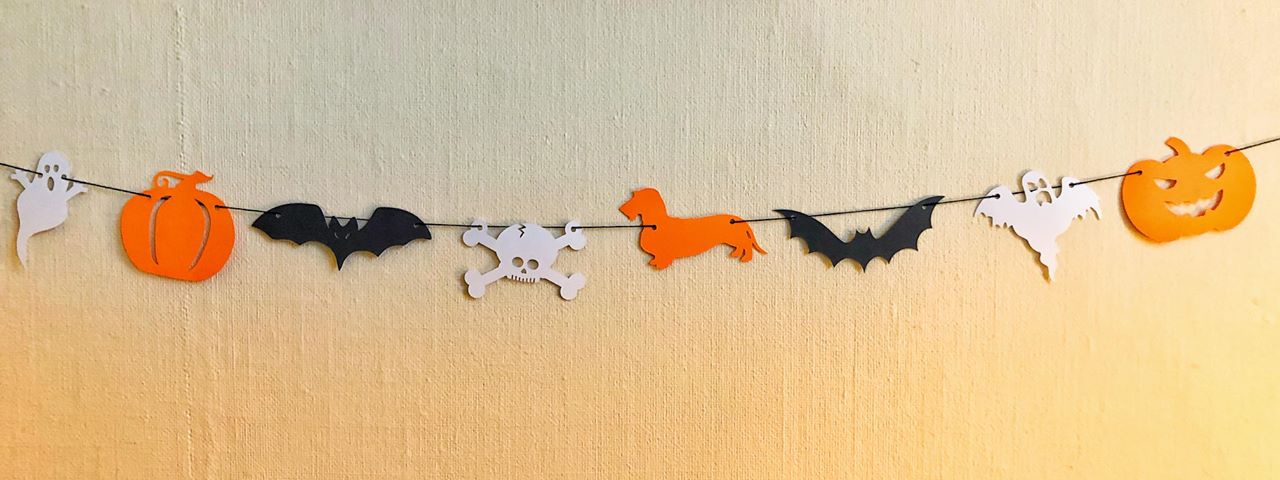 Halloween Dachshund Bunting - Choose which Coat image 0