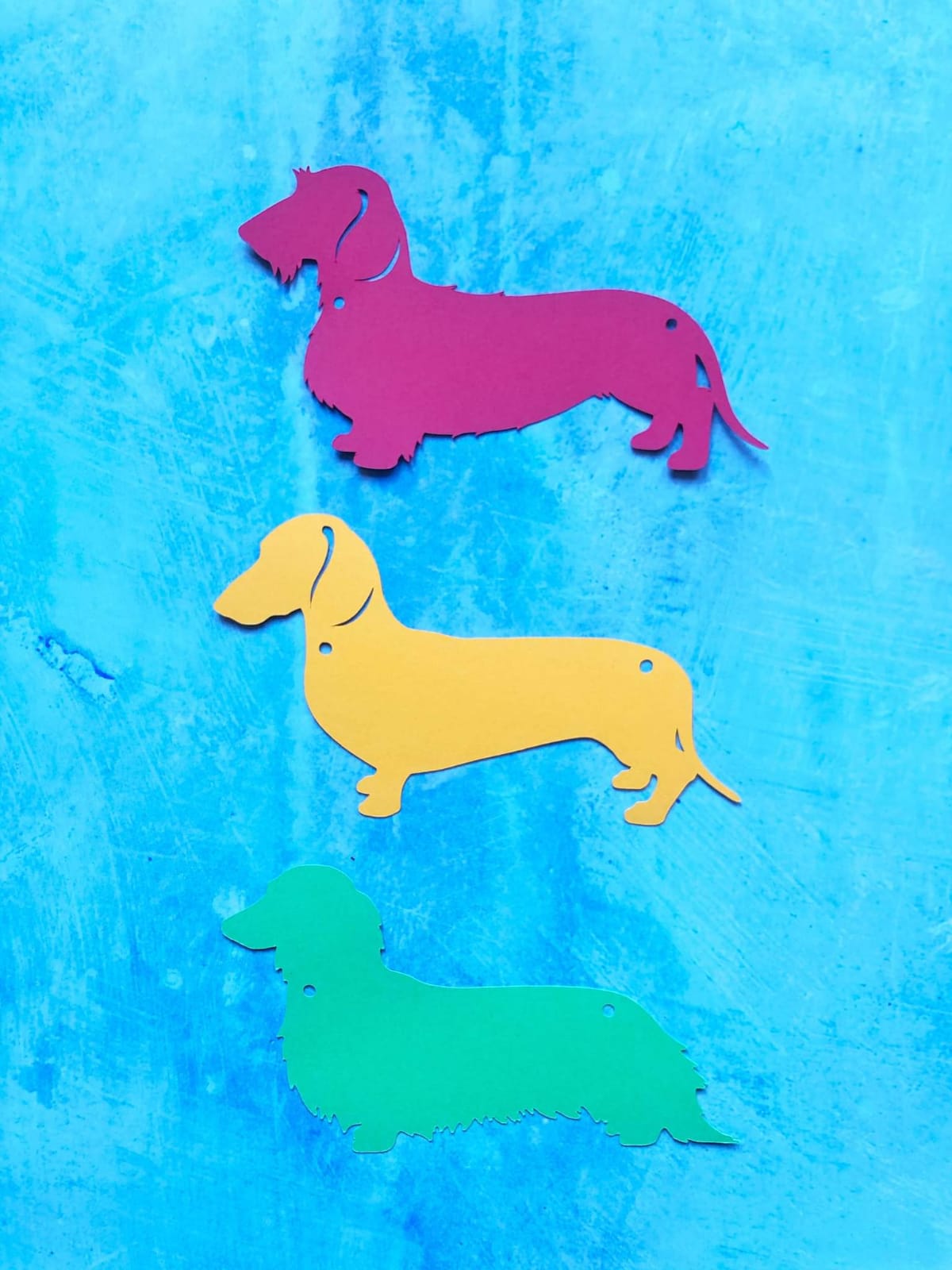 Rainbow Dachshund Bunting - Choose which Coat image 1