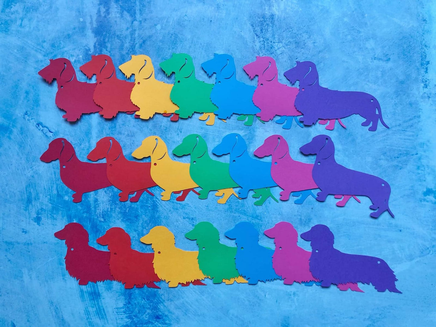 Rainbow Dachshund Bunting - Choose which Coat image 5