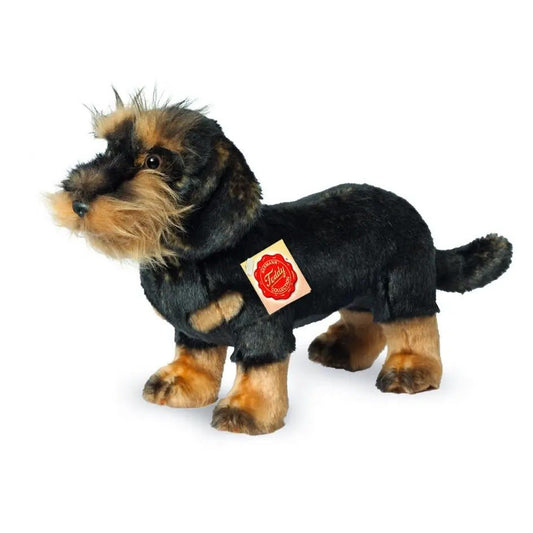 Betty Boo Boo Standing Wire Haired Dachshund Soft Toy