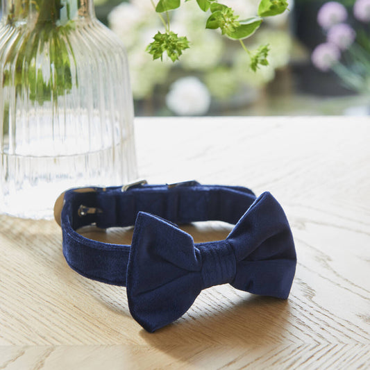 Sweet William Navy Blue Dog Bow Tie