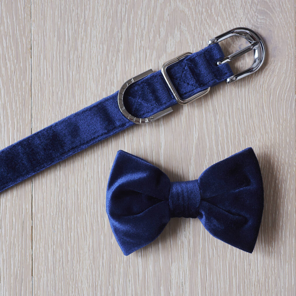 Sweet William Navy Blue Dog Collar, Lead & Bow Tie Set