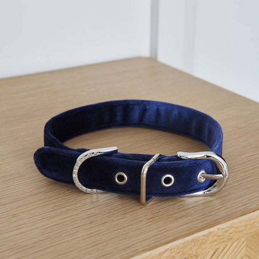 Sweet William Navy Blue Small Dog Collar