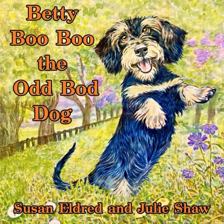 Betty Boo Boo The Odd Bod Dog Book By Susan Eldred, Illustrated by Julie Shaw